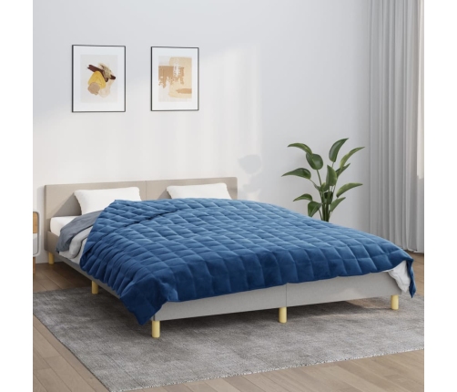Smaguma Sega, Zila, 220X240 Cm, 11 Kg, Audums Vidaxl