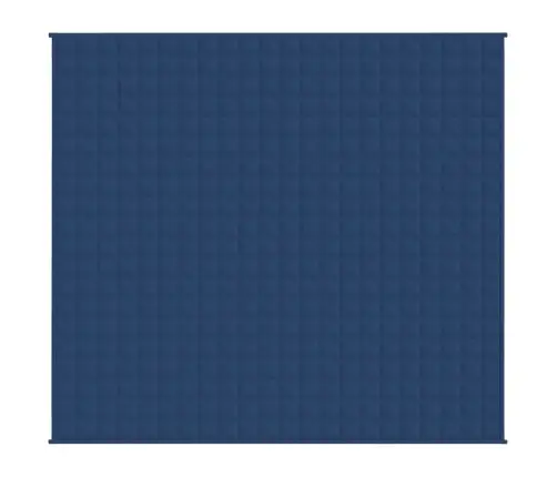 Raskustekk Sinine 220X230 Cm 15 Kg Kangas