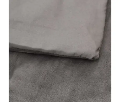 Smaguma Sega Ar Pārvalku, Pelēka, 200X220 Cm, 13 Kg, Audums Vidaxl