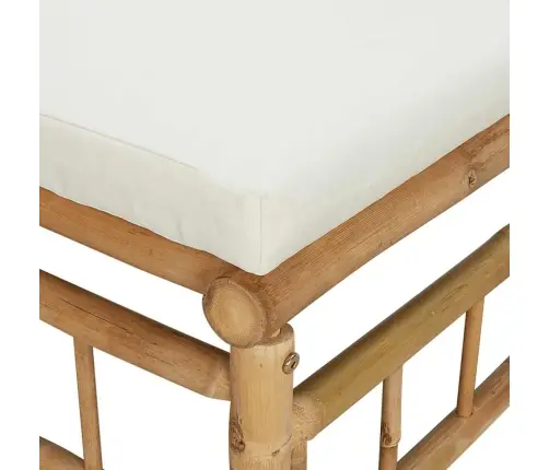 Vidurinė Sodo Sofos Dalis Su Kreminėmis Pagalvėlėmis, Bambukas