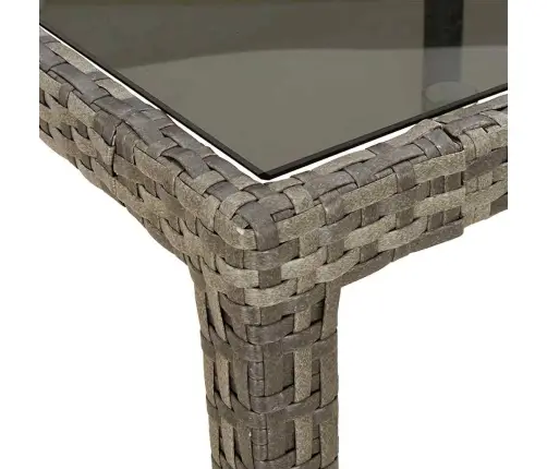 Dārza Ēdamais Galds Pelēka 250 X 100 X 75 Cm Vidaxl