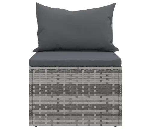 Vidējie Dārza Dīvāni, Spilveni, 2 Gab., Pelēka Pe Rotangpalma Vidaxl