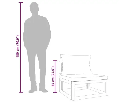 2-Daļīgs Dārza Dīvāna Komplekts Ar Spilveniem, Akācijas Koks Vidaxl
