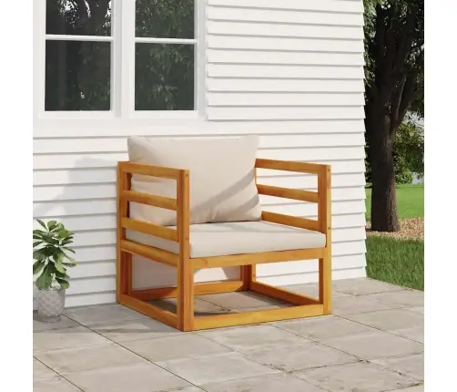 Sodo Krėslas Su Šviesiai Pilkomis Pagalvėlėmis, Akacija