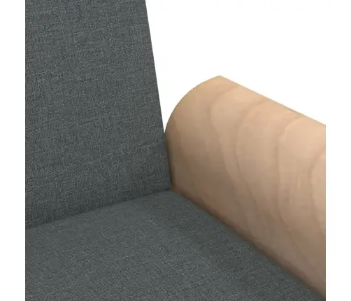 Dīvāngulta Ar Roku Balstiem, Tumši Pelēks Audums Vidaxl