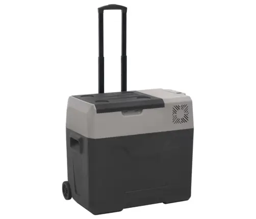 Aukstumkaste Ar Ritenīšiem Un Adapteri, 50 L, Melna, Pelēka Vidaxl