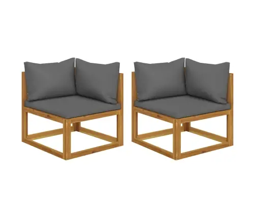 Sektsioon Nurgadiivani Moodulid Patjadega 2 Tk, Akaatsiapuit