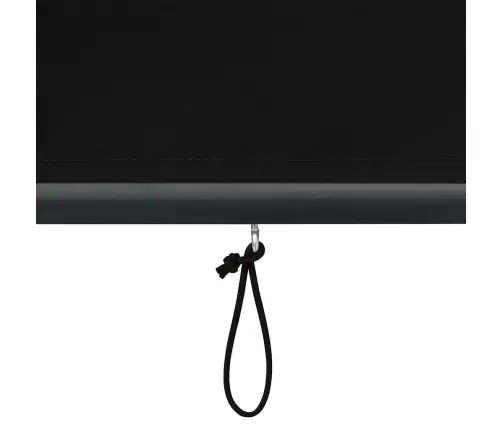 Āra Ruļļu Žalūzija Regulējams Antracīts 180 X 250 Cm Audums Vidaxl