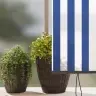 Välis Rulli Kardin Striped Sinine Ja Valge 220 X 250 Cm Kangas Välis Rulli Kardin Striped Sinine Ja Valge 220 X 250 Cm Kangas