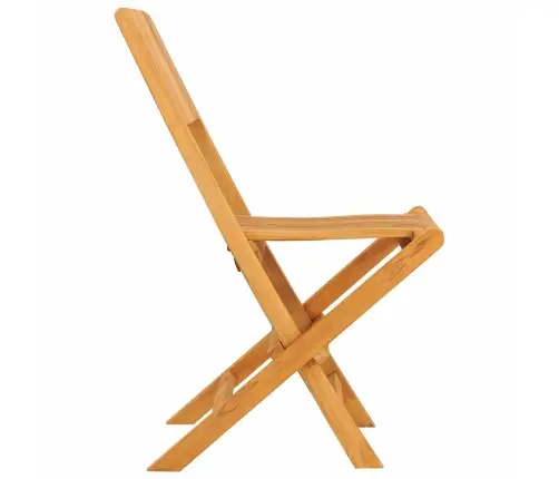 Kokkupandavad Aiatoolid 2 Tk, 47 X 61 X 90 cm Tiikpuu