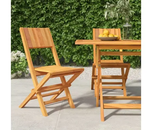 Kokkupandavad Aiatoolid 2 Tk, 47 X 61 X 90 cm Tiikpuu