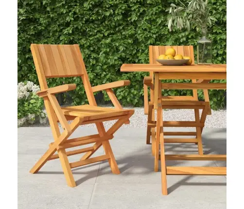 Kokkupandavad Aiatoolid 2 Tk, 55 X61 X 90 cm Tiikpuu