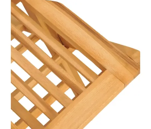 Kokkupandavad Aiatoolid 2 Tk, 47 X 62 X 90 cm Tiikpuu