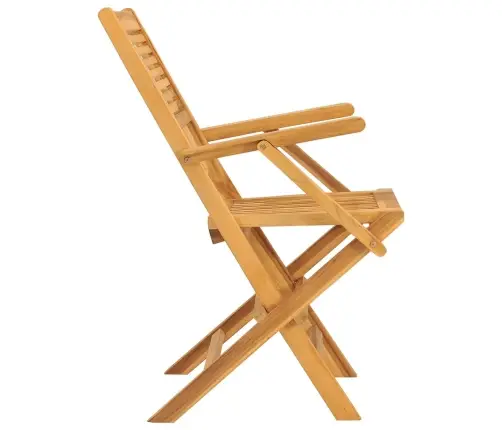 Saliekami Dārza Krēsli, 2 Gab., 55X62X90 Cm, Masīvs Tīkkoks Vidaxl