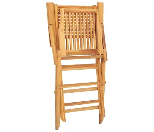 Saliekami Dārza Krēsli, 2 Gab., 55X62X90 Cm, Masīvs Tīkkoks Vidaxl