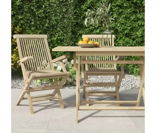 Saliekami Dārza Krēsli, 2 Gab., 56X61X89 Cm, Masīvs Tīkkoks Vidaxl