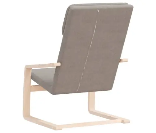 Puhketool, Pruunikashall, Kangas