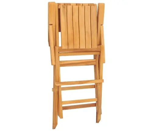 Sulankstomos Sodo Kėdės, 4Vnt., 55X62X90cm Tikmedžio Masyvas