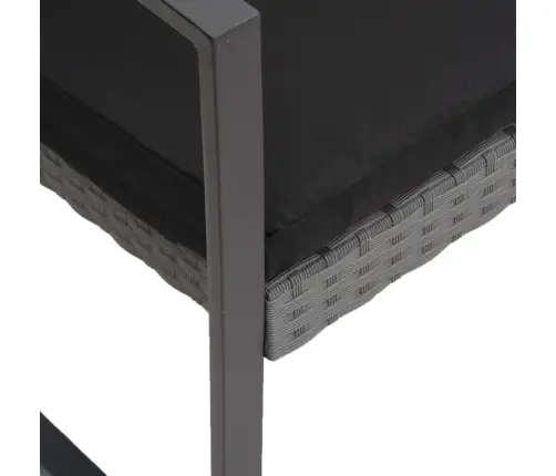 Dvivietis Sodo Suoliukas Su Pagalvėlėmis, Pilkas, Pp Ratanas