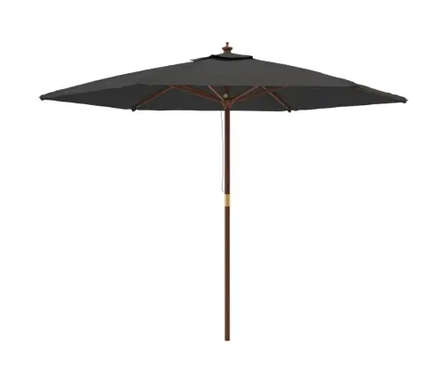 Aia Päikesevari Puidust Postiga, Antratsiithall, 299X240 Cm