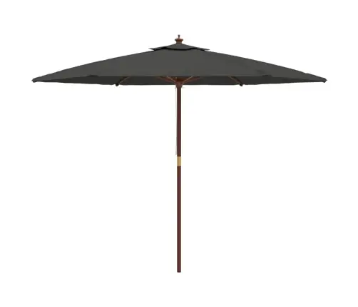 Aia Päikesevari Puidust Postiga, Antratsiithall, 299X240 Cm