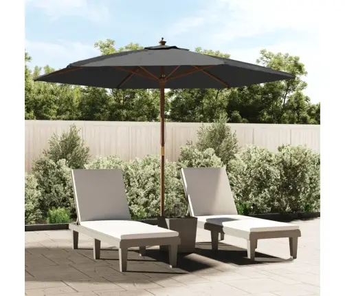 Aia Päikesevari Puidust Postiga, Antratsiithall, 299X240 Cm