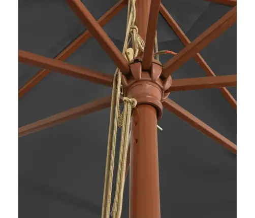 Dārza Saulessargs Ar Koka Kātu, Antracītpelēks, 400X273 Cm Vidaxl