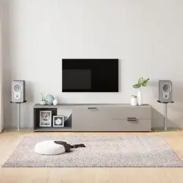 Garsiakalbių Stovai, 2Vnt., Sidabriniai, Grūdintas Stiklas