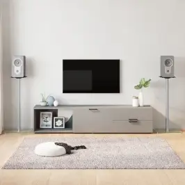 Skaļruņu Statīvi, 2 Gab., Rūdīts Stikls, 1 Balsts, Sudrabaini Vidaxl