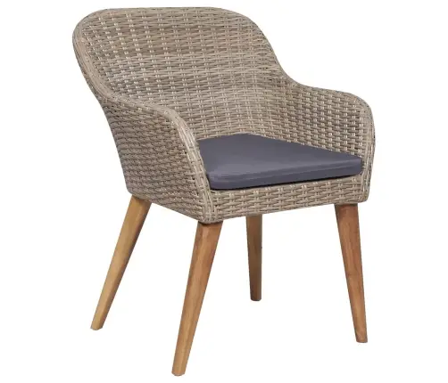 5-Osaline Aiamööbli Komplekt Patjadega, Pruun