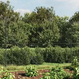 Stiepļu Žogs, 1,4X10 M, Antracītpelēks Vidaxl