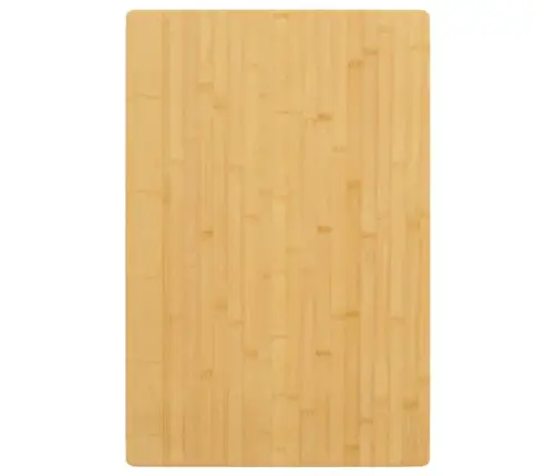 Stalviršis, 60X100X2,5 cm Bambukas