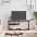 Tv Galdiņš, 103X38X46,5 Cm, Inženierijas Koks, Tērauds Vidaxl