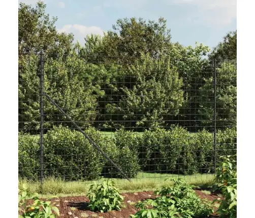Traataed, Antratsiithall, 2X10 M, Tsingitud Teras