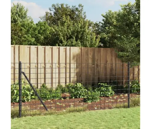 Traataed, Antratsiithall, 1 X 25 M, Tsingitud Teras