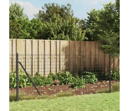 Stiepļu Žogs Ar Zemes Mietiņiem, Antracītpelēks, 0,8X25 M Vidaxl