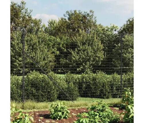Stiepļu Žogs Ar Zemes Mietiņiem, Antracītpelēks, 2,2X25 M Vidaxl
