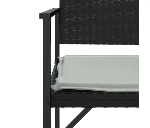 2-Kohaline Aiapink Istmepadjaga, Must, Polürotang