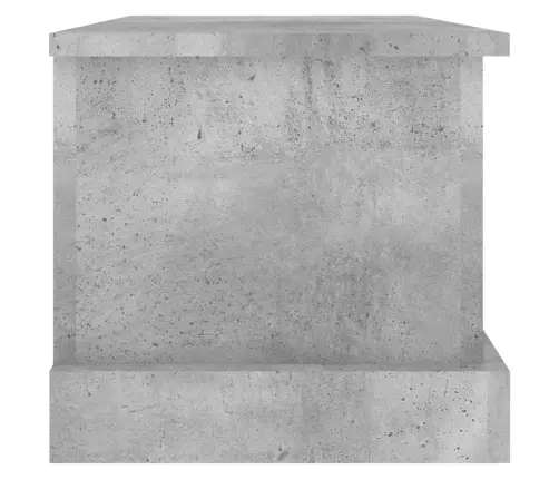 Hoiukast, Betoonhall, 50 X 30 X 28 cm Tehispuit