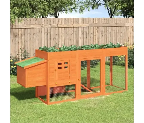 Vistu Būris, Brūns, 204X50X84 Cm, Priedes Masīvkoks Vidaxl