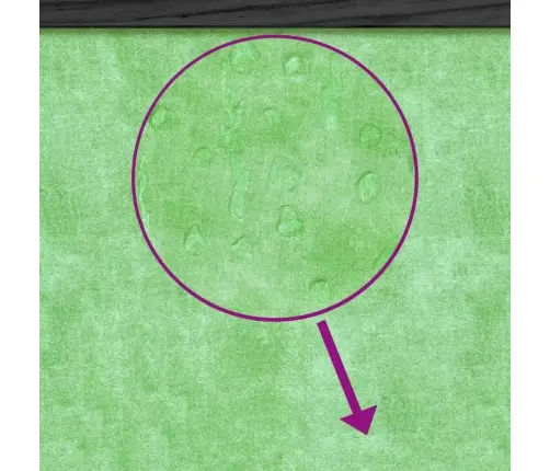 Koerakuut, Hall, 96 X 60,5 X 87 cm Männipuit