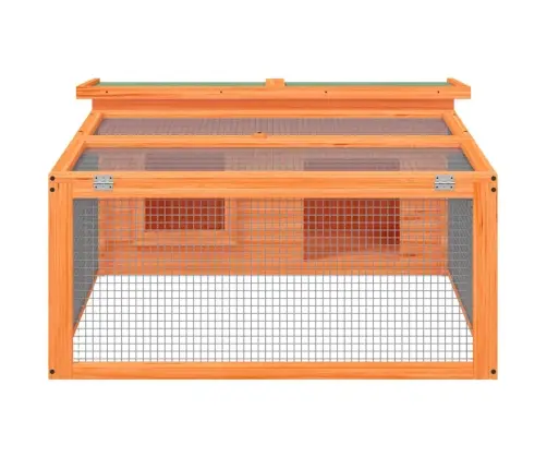 Triušių Narvas, Rudas, 117,5X97X47,5cm Pušies Medienos Masyvas