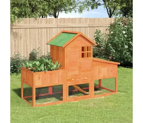 Triušių Narvas, Rudas, 170X63X113cm Pušies Medienos Masyvas