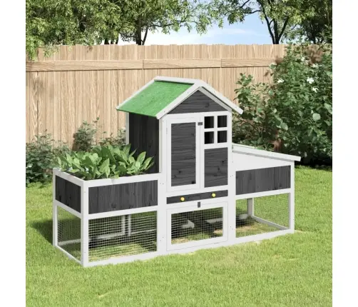 Trušu Būris, 170X63X113 Cm, Priedes Masīvkoks, Pelēks Vidaxl