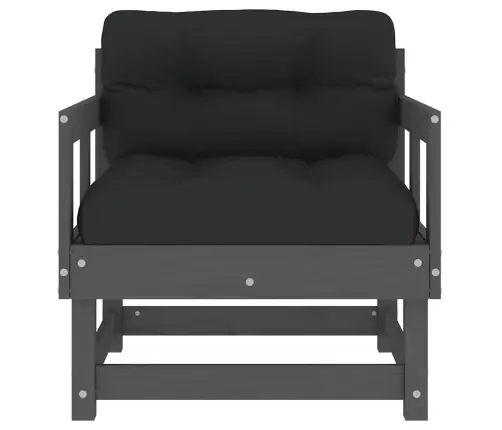 Aiatoolid Patjadega 2 Tk, Hall, Männipuit