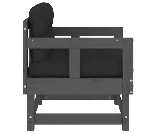 Aiatoolid Patjadega 2 Tk, Hall, Männipuit