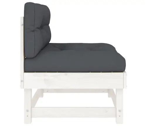 Vidurinės Sofos Dalys Su Pagalvėlėmis, 2Vnt., Baltos, Pušis Vidurinės Sofos Dalys Su Pagalvėlėmis, 2Vnt., Baltos, Pušis