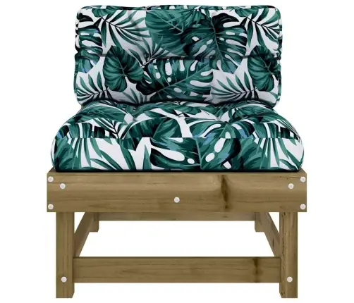 Keskmised Diivaniosad Patjadega 2 Tk, Immutatud Männipuit