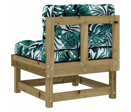 Keskmised Diivaniosad Patjadega 2 Tk, Immutatud Männipuit