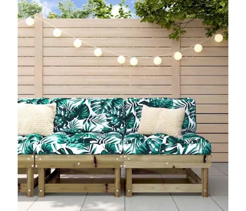 Keskmised Diivaniosad Patjadega 2 Tk, Immutatud Männipuit